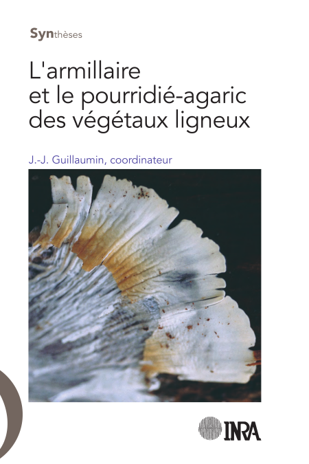 media/pim/22_a439b86b-7420-4dbd-bffe-2797781d6438.jpeg
