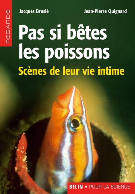 media/pim/2391416_iza9s0fm_1