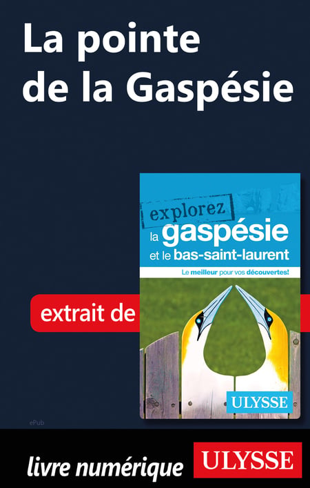 media/pim/23_metadata-image-51511048.jpeg