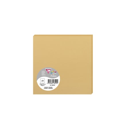 media/pim/25-cartes-135x135-caramel-25-cartes-135x135-caramel-3329680185201_0.jpg