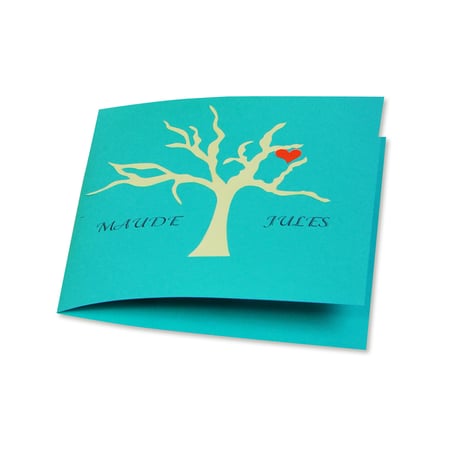 media/pim/25-cartes-dble-160x160-vert-bo-25-cartes-dble-160x160-vert-bourgeon-3329682216002_21.jpg
