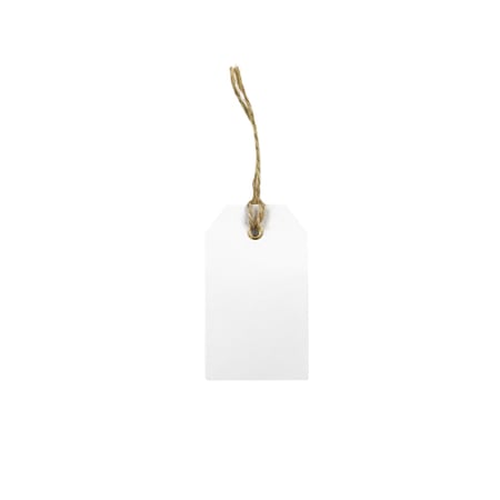 media/pim/25-etiquettes-blanc-oeillet-dore-4-5-x-88-cm-ficelle-5m-3700408457815_0.jpg