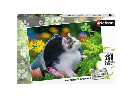 media/pim/250p-chaton-curieux-4005556868766_0.JPG