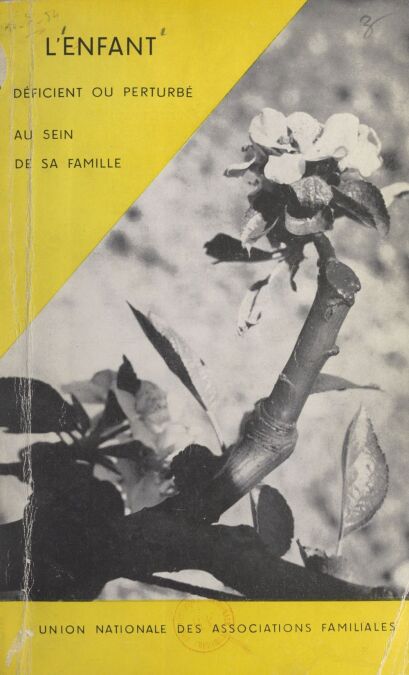 media/pim/25_7887e41d-2962-433d-b5d8-19d67b54208e.jpeg