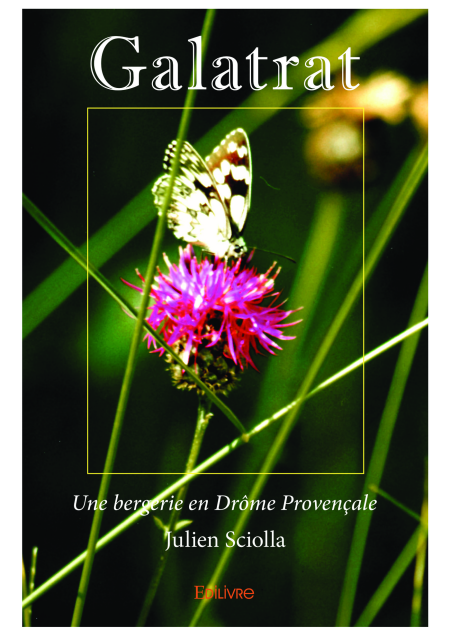 media/pim/26_df819050-fd33-422c-8aed-c267672a3352.jpeg