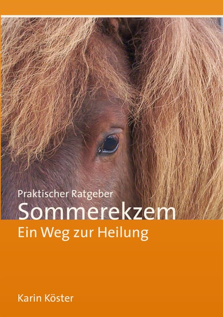 media/pim/26_metadata-image-48033469.jpeg