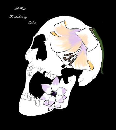 media/pim/27_039468d0-cd73-43bc-83aa-50bcf2ad7c6d.jpeg