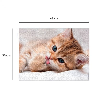 JEUX éducatif - Puzzle 3d animaux domestiques CHAT