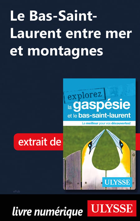 media/pim/27_metadata-image-51511053.jpeg