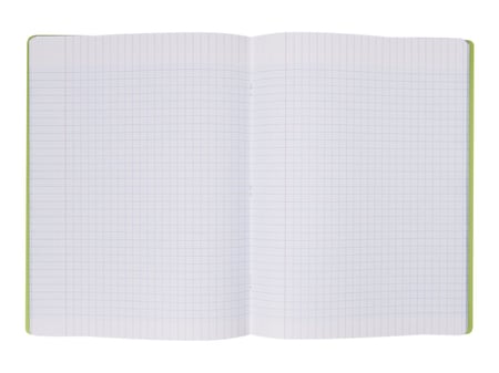 Cahier - 24 x 32 cm - 96 pages grands carreaux - Vert - Cultura
