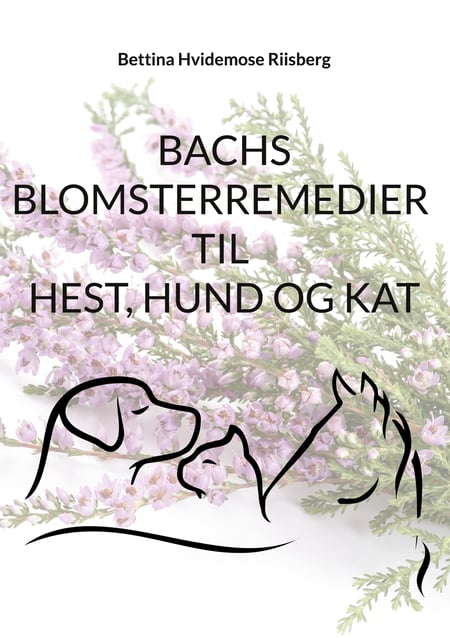 media/pim/28_metadata-image-58482773.jpeg