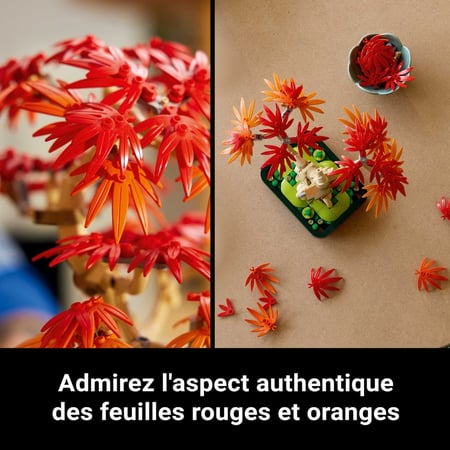 media/pim/2_11884075_8_30_FR.jpg