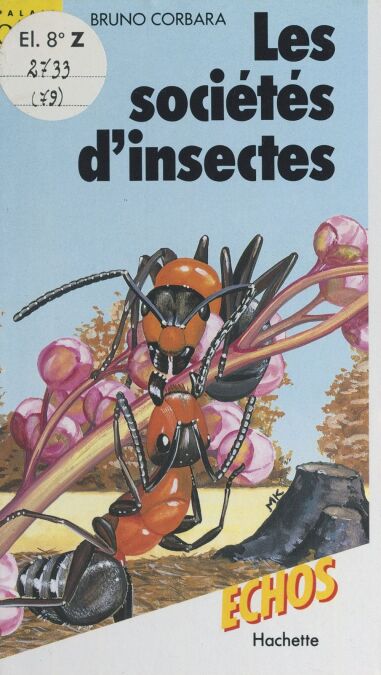 media/pim/2_87ac3edf-317e-4f6c-9fae-b0d79ee6abed.jpeg