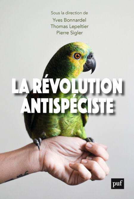 media/pim/2_f46f5903-9cb2-4d85-b250-50408d73749e.jpeg