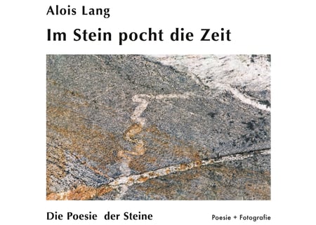 media/pim/2_metadata-image-61546584.jpeg