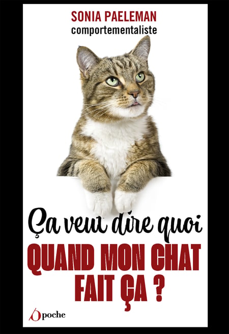 media/pim/2_metadata-image-77366501.jpeg