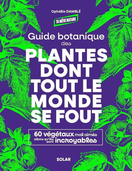 media/pim/2_metadata-image-80348568.jpeg