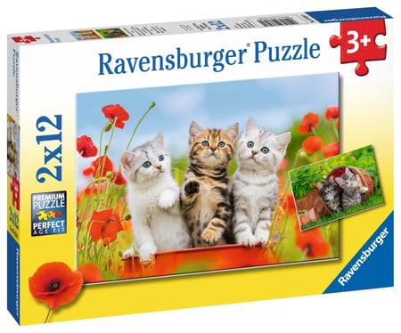 media/pim/2x12p-la-decouverte-des-chats-4005556076260_1.JPG