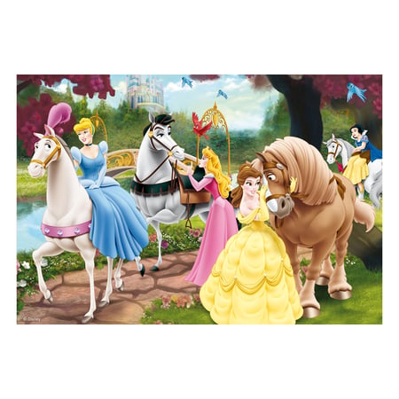 media/pim/2x24p-princesses-magiques-disn-4005556088652_1.jpg