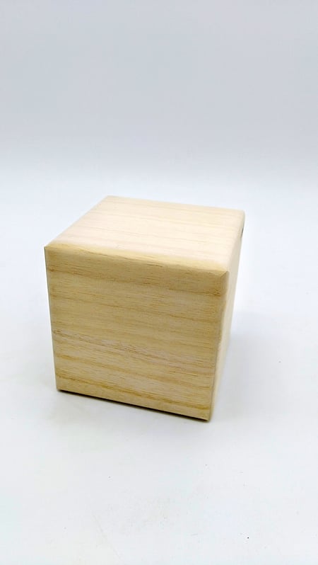 Cube d'Activité en Bois en Forme Maison avec Espace de Rangement