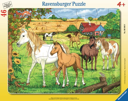 media/pim/30-48-p-chevaux-dans-l-enclos-4005556066469_7.jpg