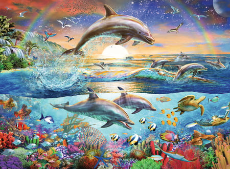 media/pim/300p-paradis-dauphins-4005556128952_10.jpg