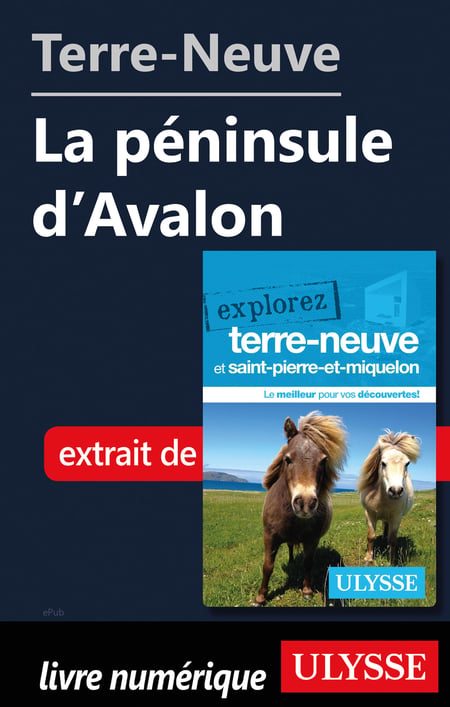 media/pim/30_metadata-image-19156520.jpeg