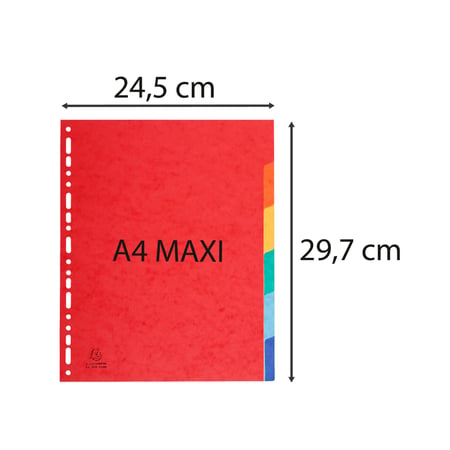 Lot de 12 intercalaires en plastique - Maxi format (24,5x30,5cm) - Pour classeur  A4 Maxi format ou classeur à levier - A4 - Cdiscount Beaux-Arts et Loisirs  créatifs