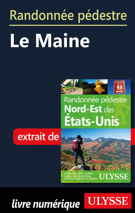 media/pim/31_metadata-image-20067090.jpeg
