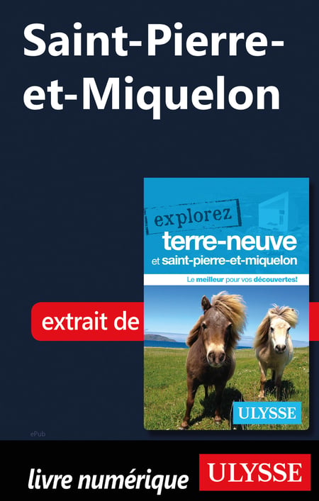 media/pim/32_metadata-image-19156522.jpeg
