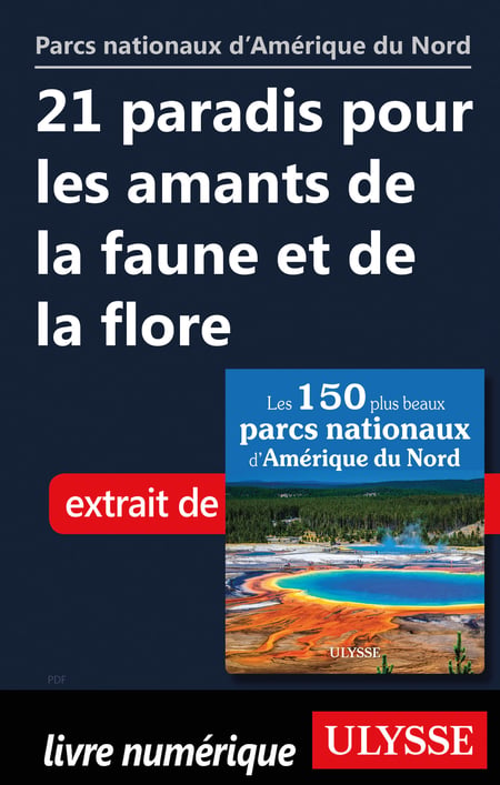 media/pim/32_metadata-image-52862056.jpeg