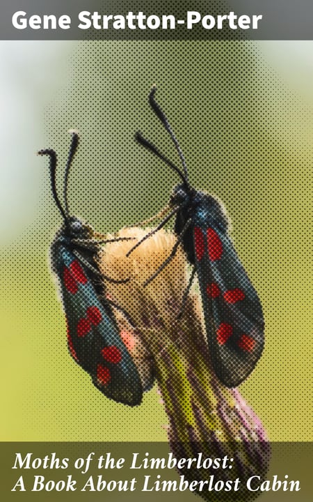 media/pim/32_metadata-image-66812618.jpeg