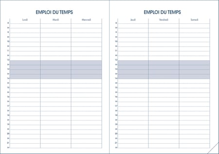 Agenda à spirale Shaman - 1 jour par page - 12 x 17 cm - différents modèles  disponibles - Quo Vadis