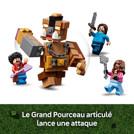 media/pim/33_10827763_8_30_FR.jpg