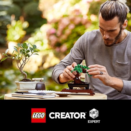 Bonsaï LEGO Creator Expert 10281 - La Grande Récré