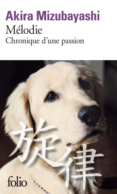media/pim/35_97d1c252-1287-41ab-9623-f81dbab53ba4.jpeg
