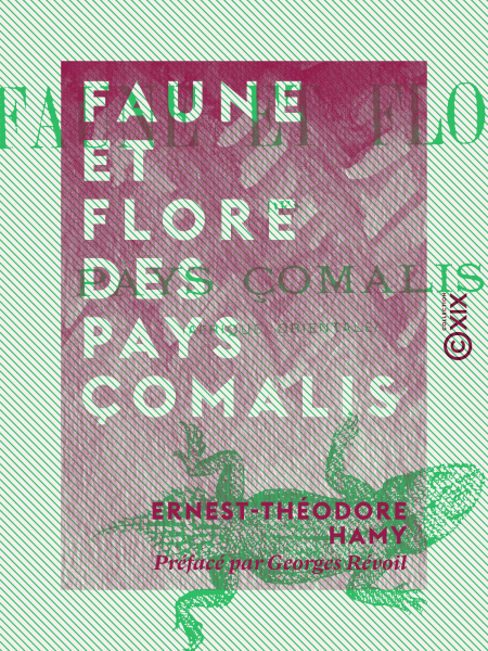media/pim/36_c71e2f84-eadb-43aa-a6ca-cfbf94c64574.jpeg
