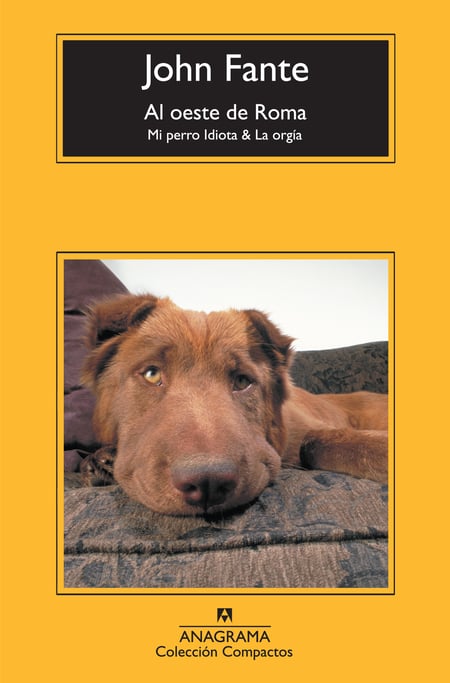 media/pim/36_standalone-image-1651573.jpg