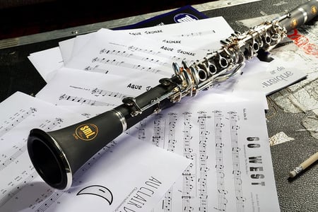 1 Set Clarinette Outils de réparation Accessoires d'instrument de