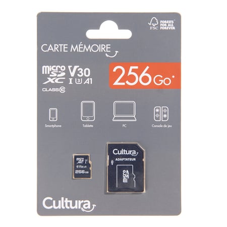 Carte micro SD 256 Go