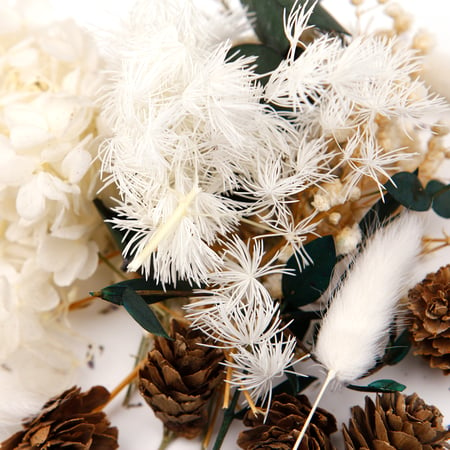 Fleurs séchées coloris blanc lagure : Les fleurs séchées dans la décoration  NATURALYS maison - botanic®