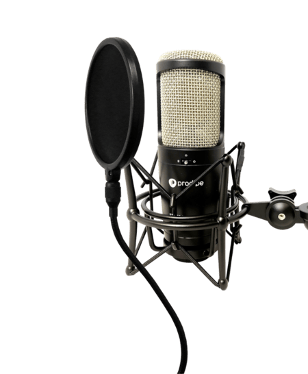 Acheter Filtro Antipop pour Microphone - Expédition depuis l'Espagne