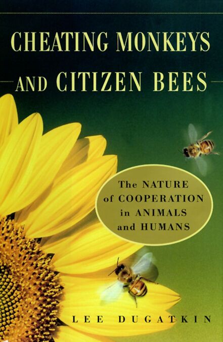 media/pim/38_63dd19bc-bc4d-4a52-99a4-99a5e6937f5d.jpeg
