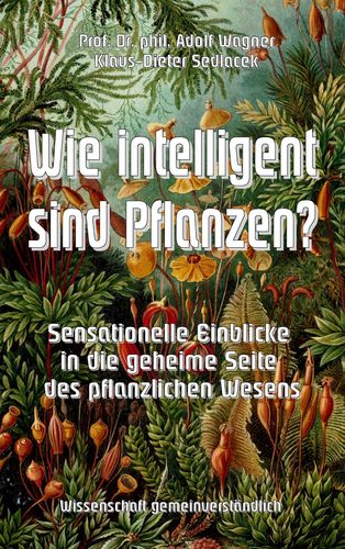 media/pim/38_metadata-image-22586730.jpeg