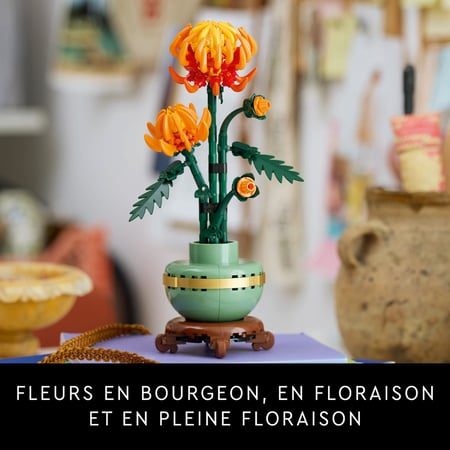 media/pim/39_10555952_9_30_FR.jpg