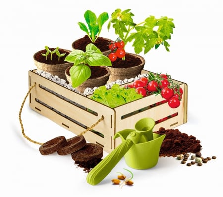 Kit De Culture - Ensemble D'outils De Jardinage Pour Enfant - Pelle à Fleurs - Couleur Blue-e
