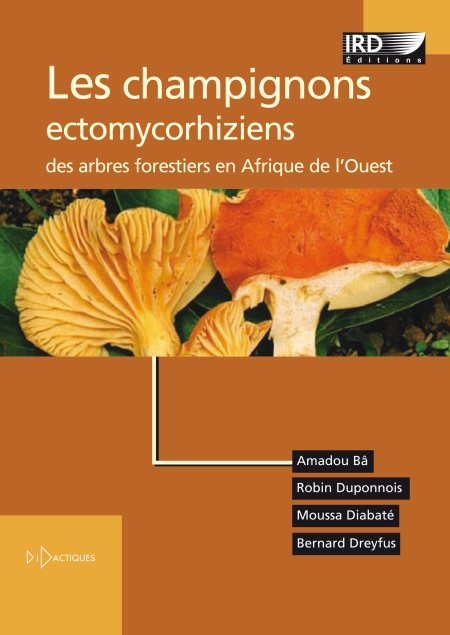 media/pim/3_9171e795-6ffb-4236-afce-02b089099b41.jpeg