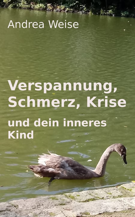 media/pim/3_metadata-image-70849505.jpeg