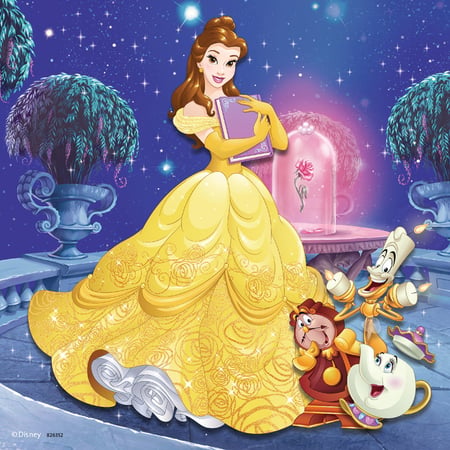 media/pim/3x49p-aventure-des-princesses-4005556093502_10.jpg