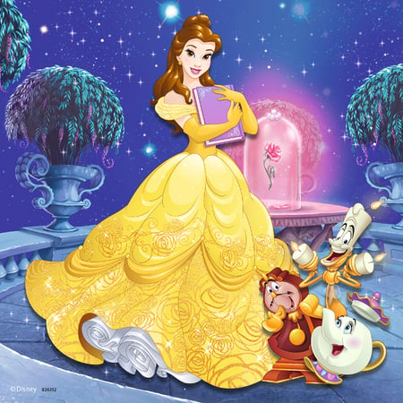 media/pim/3x49p-aventure-des-princesses-4005556093502_2.JPG
